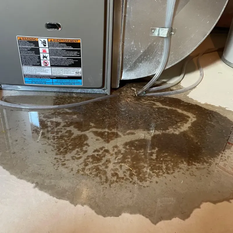 Appliance Leak Cleanup in Jefferson County, KS